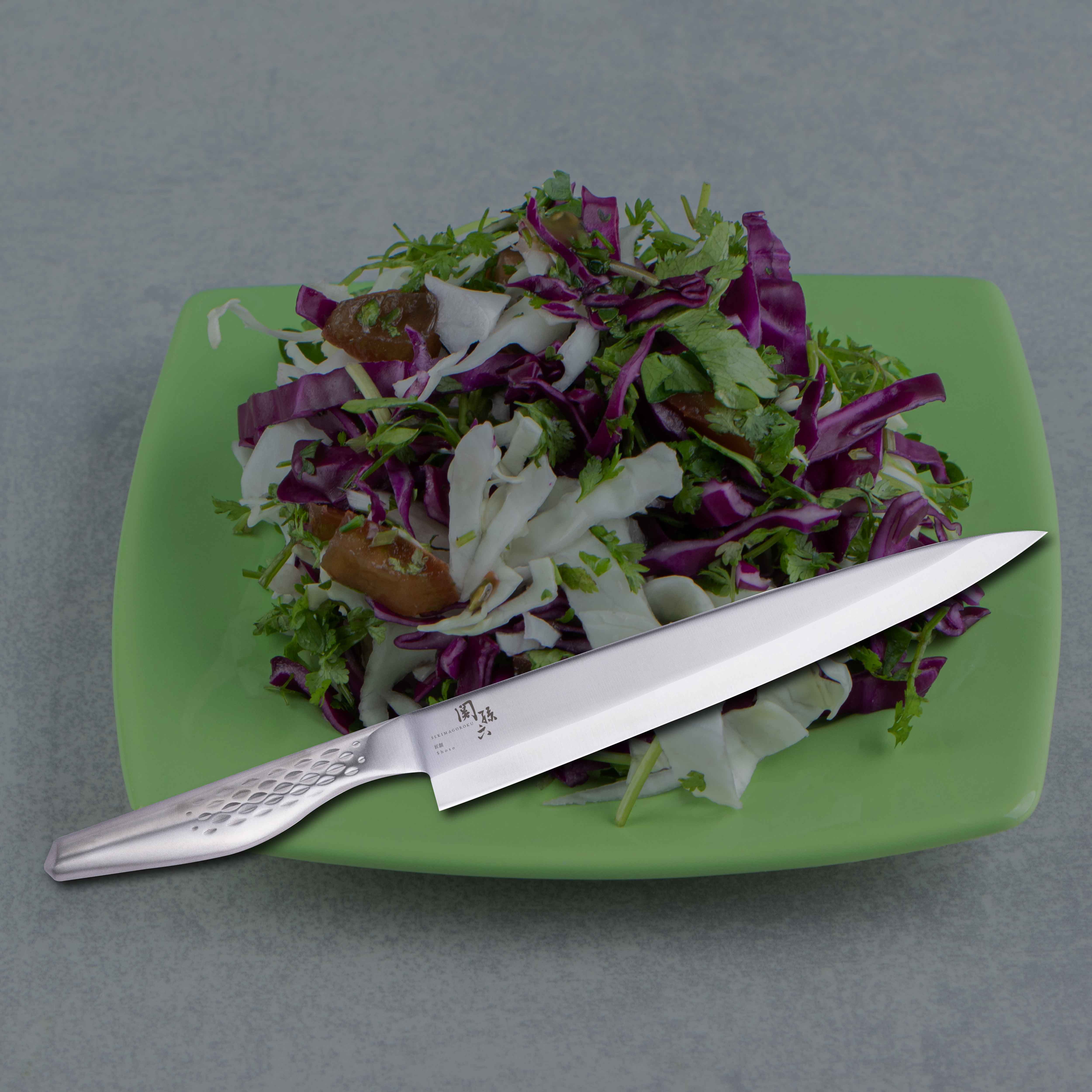 KAI Seki Magoroku Takumi Sashimi Knife 240mm #000AK1135