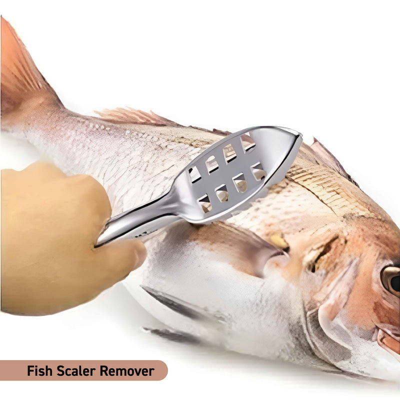 KAI Select 100 Fish Scaler Remover with plastic collecting container [DH6006]