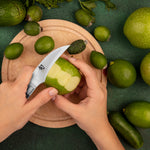 KAI Shun Classic Bird's Beak Paring Knife 2.5'' [DM0715]