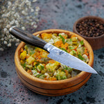 Kai Shun Premier Paring Kitchen Knife 4" [TDM0700]